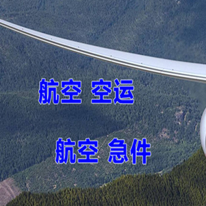 湛江空运代理快递-选东方航空和上海航空