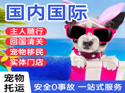 湛江空运代理国际宠物托运 【国